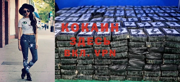 спайс Богданович
