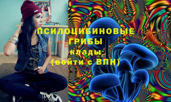кокс Богородск