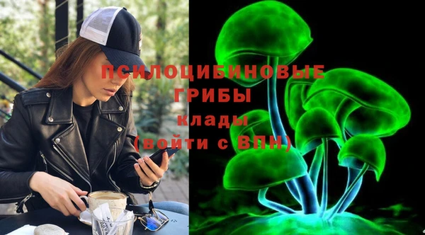 спайс Богданович